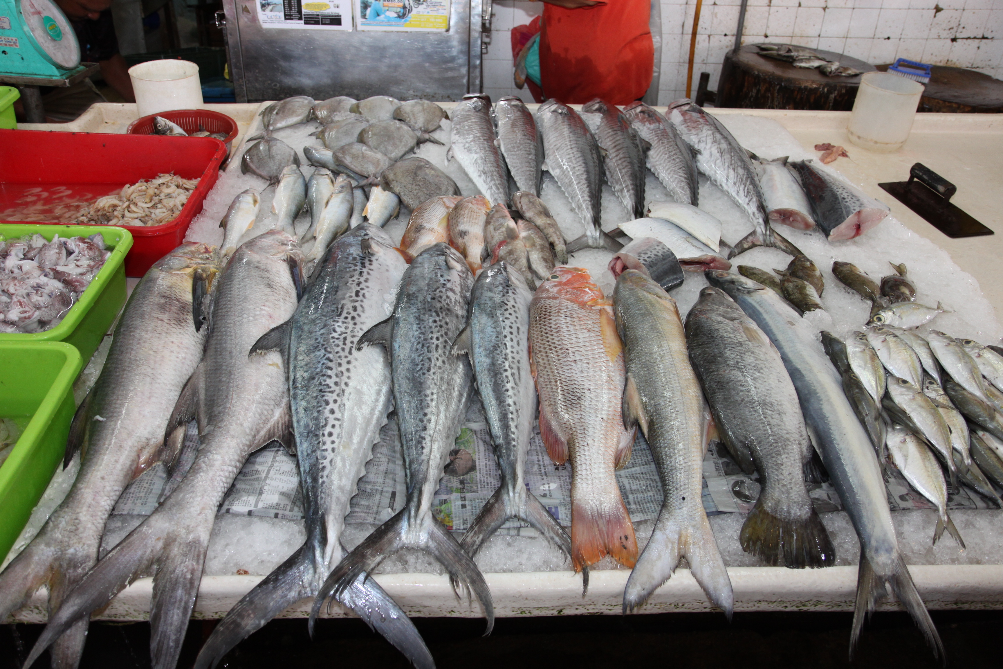 Можно купить свежую рыбу. Рыба на рынке. Свежая рыба. Продают рыбу на рынке. Морская рыба на рынке.